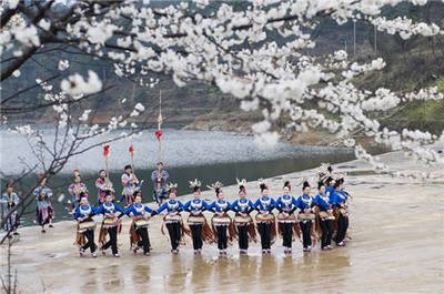 1711609564994273.jpg 28122722a4e6cda3af772a6829eba21f_t01b62bc5f71aed77bd.jpg