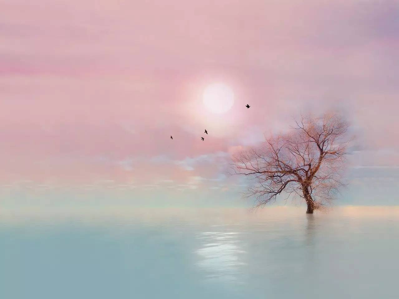 ce43d68eaa95a446a1e7c85f2debeaf2_kcqJ-fykqmrv9662215.jpg