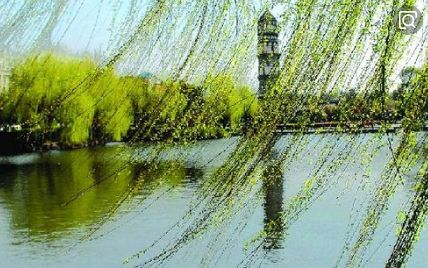 1711782612510250.jpeg 8335f748d253b4f3f431c9b6b7e98241_aeae7fff8c0041c7b42b0105b0397ed7.jpeg