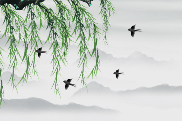 1711782628307565.jpg be787b0d4421392032bb75000078eaef_c2fca2802f32a7af57db4bedf3cd1f3d.jpg