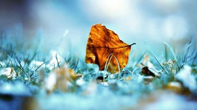 【​​瑞雪作品】专辑《落叶​》