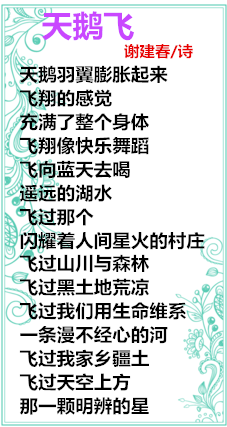 38_副本第一.png