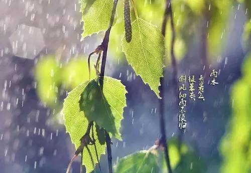 2497e99d82fe7c8a32e9577dd21c34e7_a8982b30f62f4c3681b46dcc6eb3e073_th.jpeg