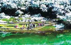 【新歌推荐】：《中国传承人艺术团之歌》