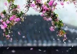 《湖边柳绿映桃红》作者: 郑占荣【大众原创诗词曲网刊】签约作家