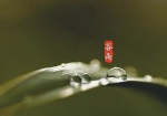 《谷雨歌》作者: 李铁民【大众原创诗词曲网刊】签约作家