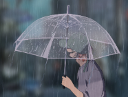 《雨 》作者: 李铁民【大众原创诗词曲网刊】签约作家