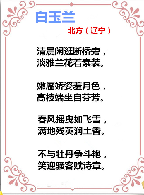auto_51858PIC48688Fkkj看看MWa58PICzKn_PIC2018_副本.jpg