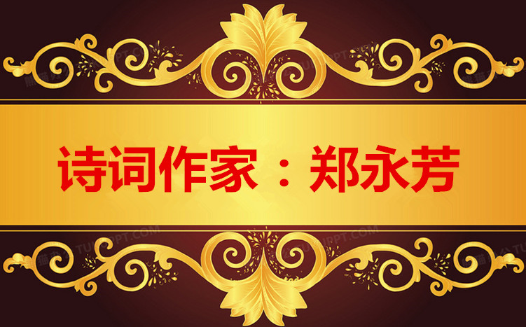 1684565886399279图片_副本_副本.jpg