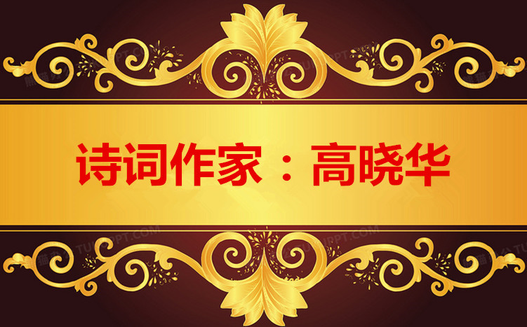 1684565886399279图片_副本_副本.jpg