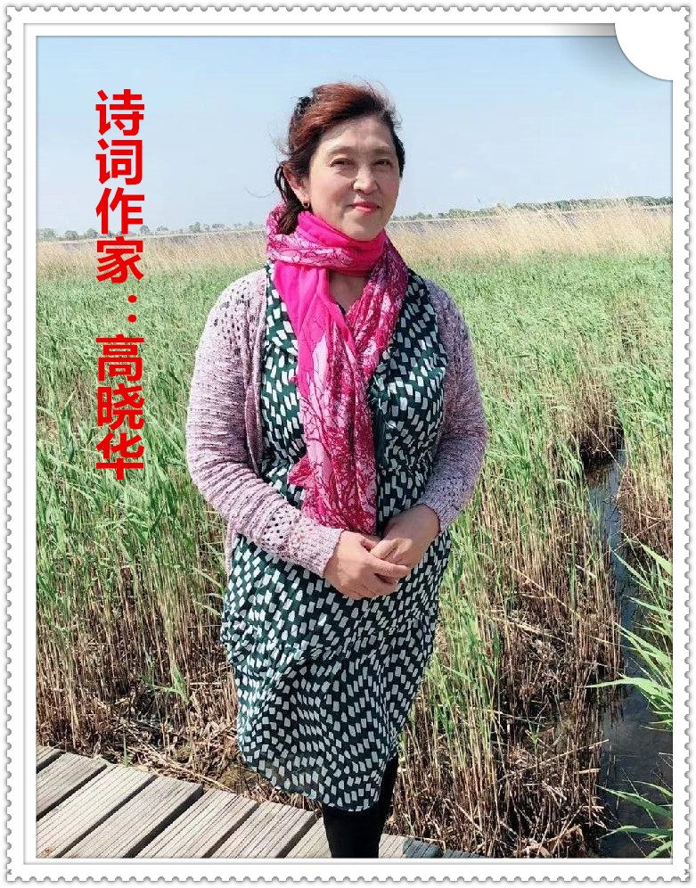【名家专栏】诗词作家：高晓华