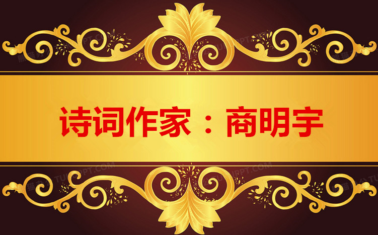 1684565886399279图片_副本_副本.jpg