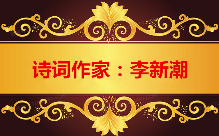 1684565886399279图片_副本_副本.jpg