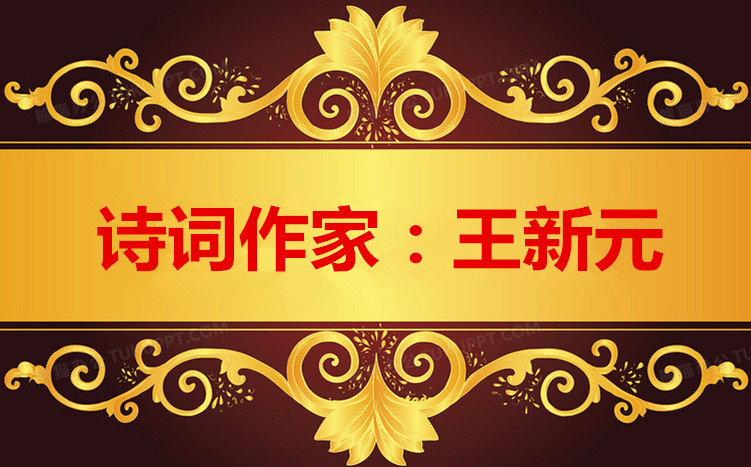1684565886399279图片_副本_副本.jpg