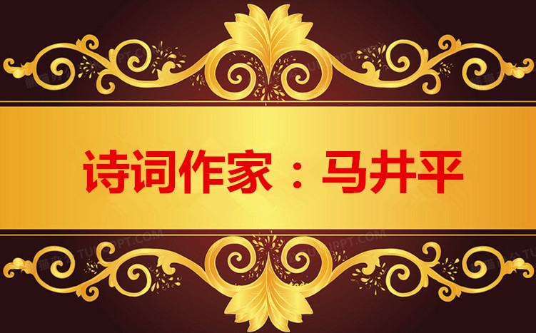 1684565886399279图片_副本_副本.jpg