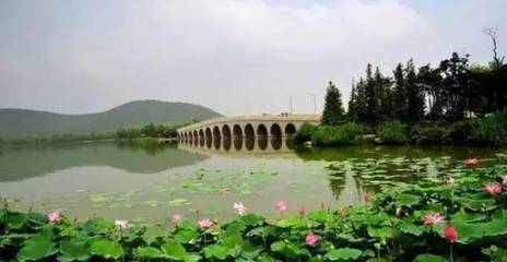 9dfd8410e1035365f878df6adeed6987_t011d63ce2d41d50686.jpg