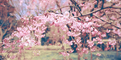17c2985cfbccb02b319a23d637028d67_2878-irtymmv9009278.gif