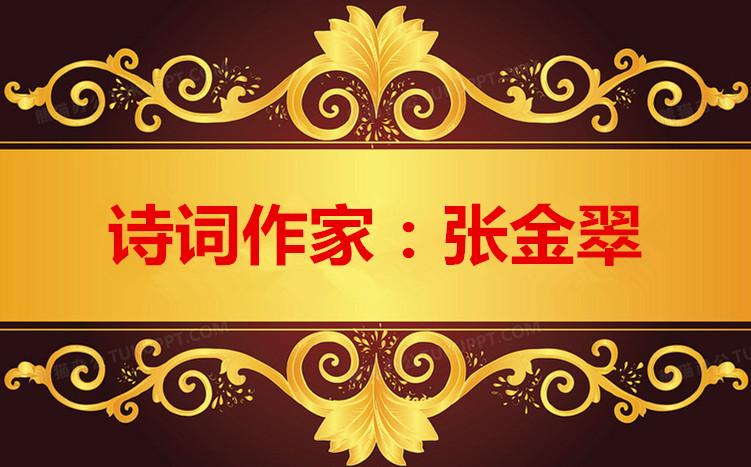 1684565886399279图片_副本_副本.jpg