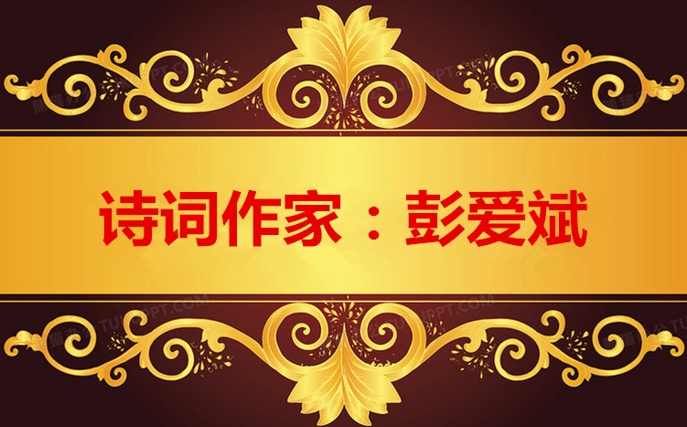 1684565886399279图片_副本_副本.jpg