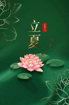 cd02dc9ede45099d00808fa6d6704f3a_270x.gif