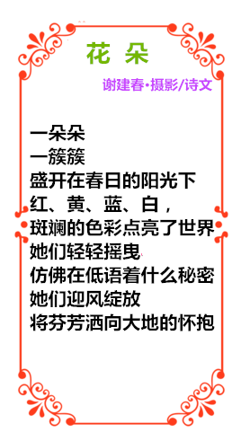 70_副本_副本.png