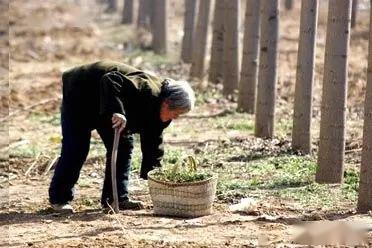 夏顺发 我的老妈妈