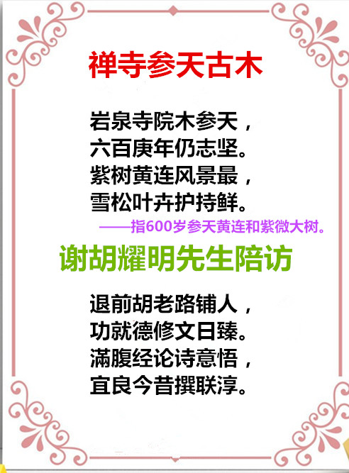 auto_51858PIC4868不能那么FMWa58PICzKn_PIC2018_副本.jpg