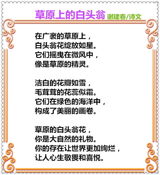 33C58PICd58PICHa不能明白58PICDatya8mc_PIC2018_副本.png