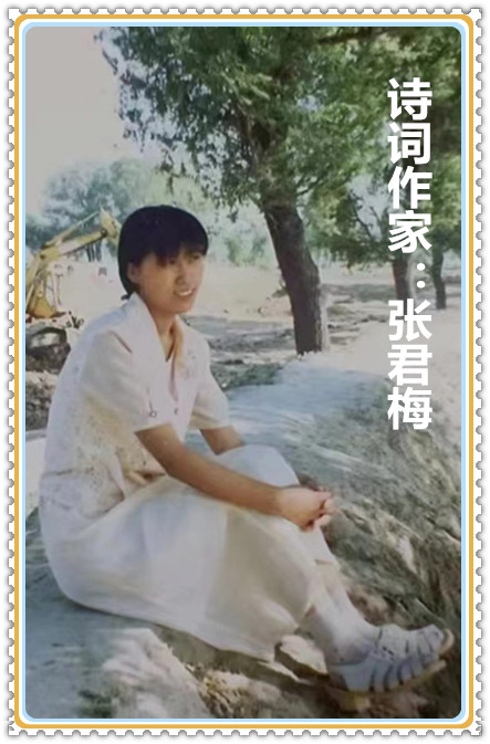 【名家专栏】诗词作家：​张君梅
