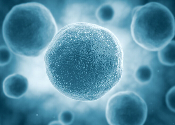 MSCs复合双相磷酸钙陶瓷促进脊柱融合相关临床研究