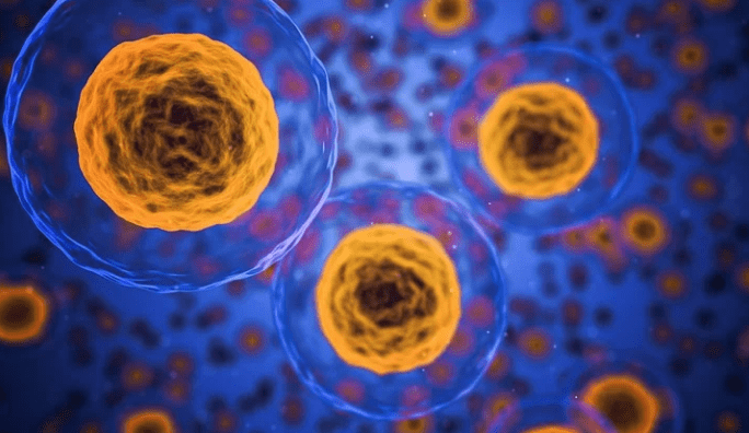 Egle Therapeutics募资4000万欧元 开发基于调节性T细胞疗法