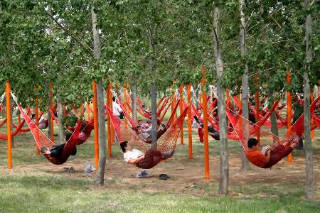 游客们躺在吊床上小憩 