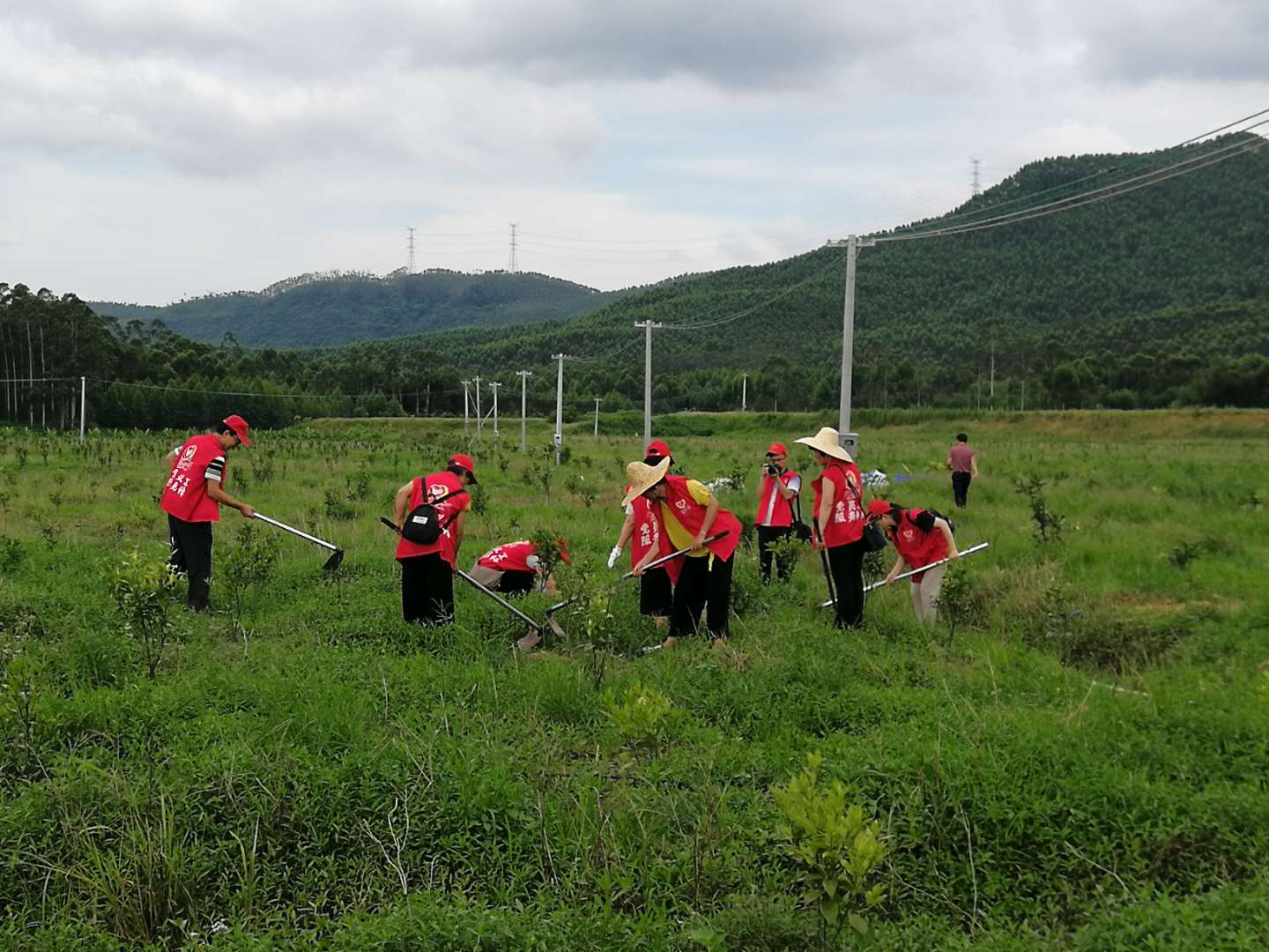 开平市农业农村局 