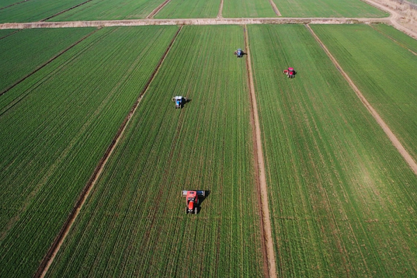 安徽农垦示范引领现代农业发展 开辟乡村振兴新路径