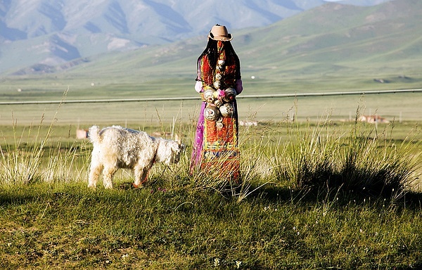 我画不出的那只,在你心里奔跑的羊