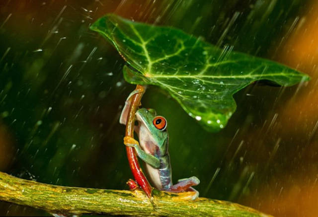 心理测试 4种天气,你最喜欢哪种 测你生病时他会怎么照顾你 