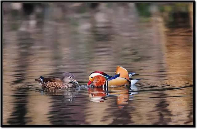 在岁月中修养自己