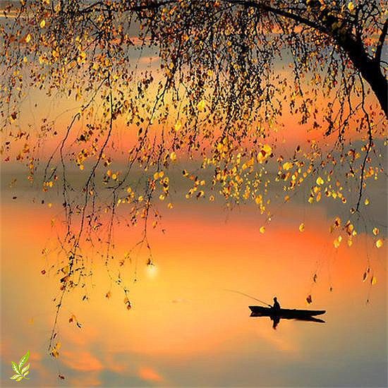 思触动心灵 让清灵的空气 