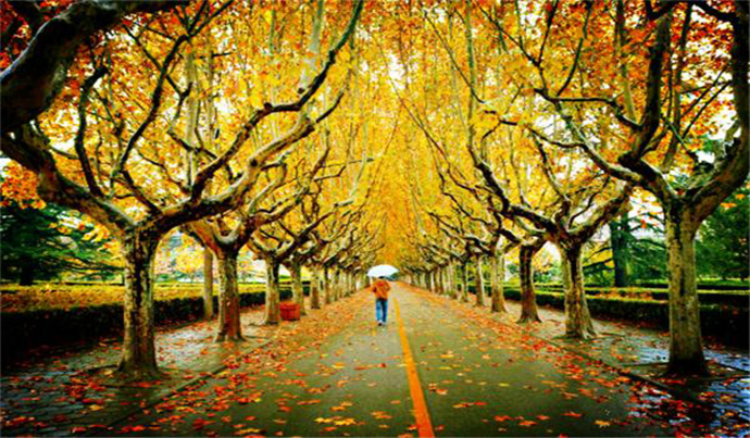 中秋西安旅游景点推荐