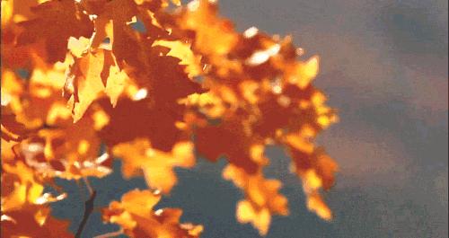 秋三月,降血脂的 黄金期 ,记得做好 4步走 战略