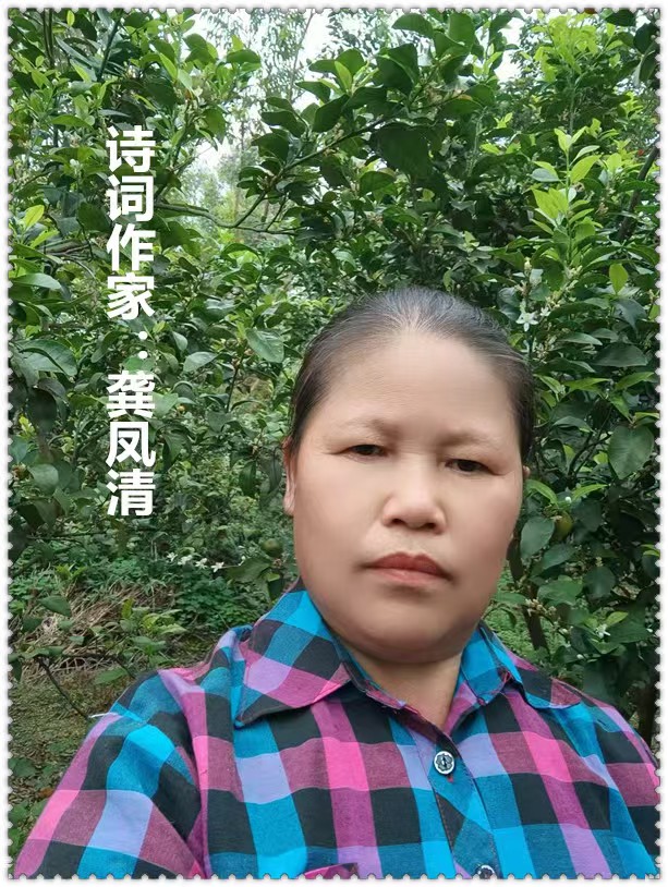 【名家专栏】诗词作家：​龚凤清