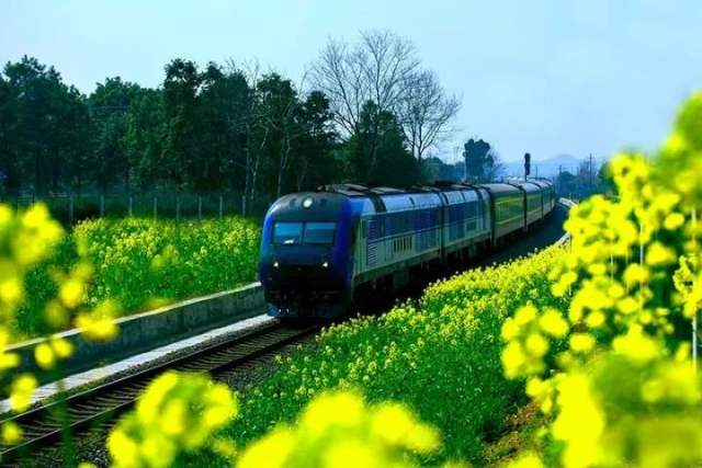 寻找中国之美 我的祖国我的家 有奖征集