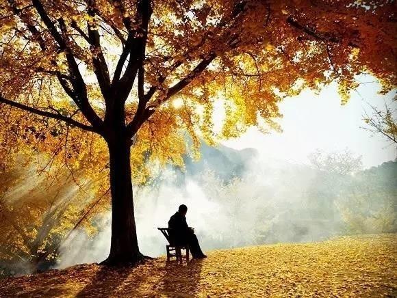 武汉进入 扫黄 时期,快跟上