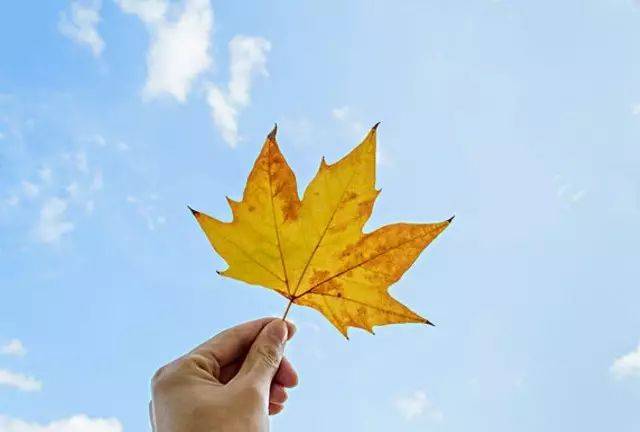 秋季创意写生 秋天的印记 