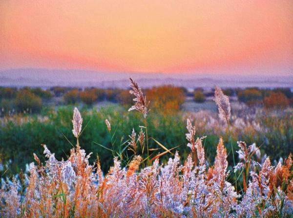 秋日胜春朝 图集