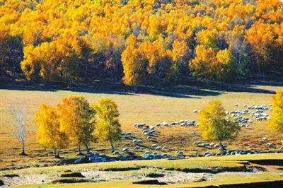 人民日报海外版-人民网