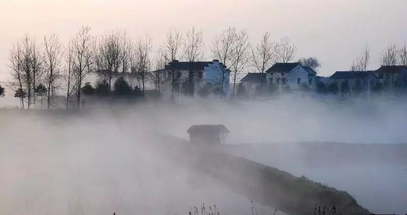 预告│梦幻中秋节 群星邀您共赏月