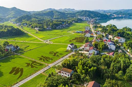 民族团结的种子种在孩子心中