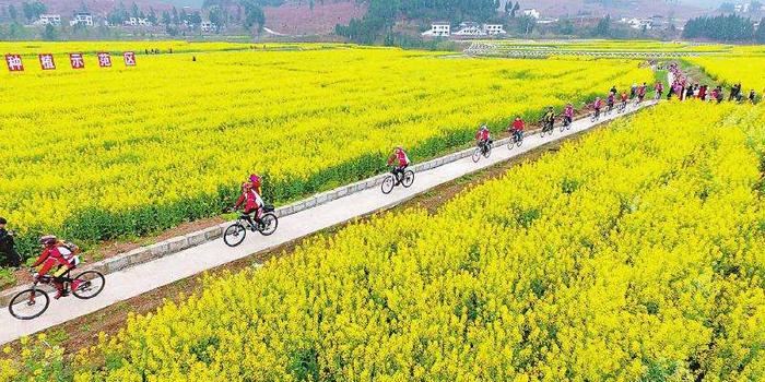 实施乡村振兴战略 代表建议沿用12年的养护费补助标准该提高了