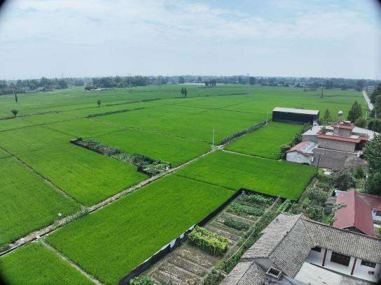 新昕向农,振兴乡村 农业教育与乡村振兴 暑期社会实践活动